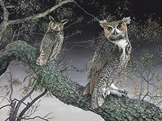 Night Owls -Canvas Print